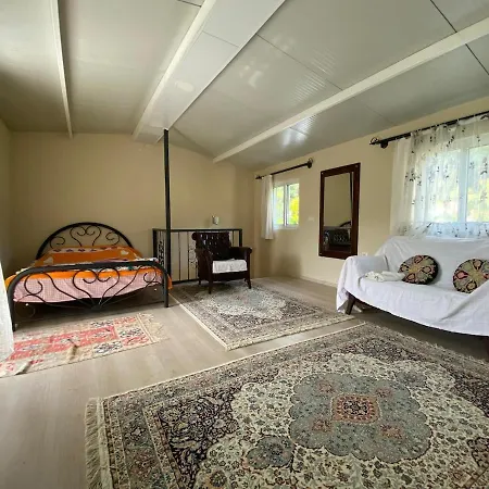Ferienhaus Agora Evi 2 *